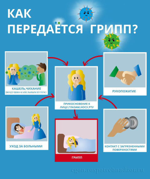 Пофилактика гриппа и ОРВИ и COVID-19.